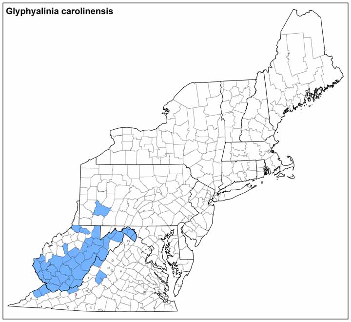 Glyphyalinia carolinensis Range Map